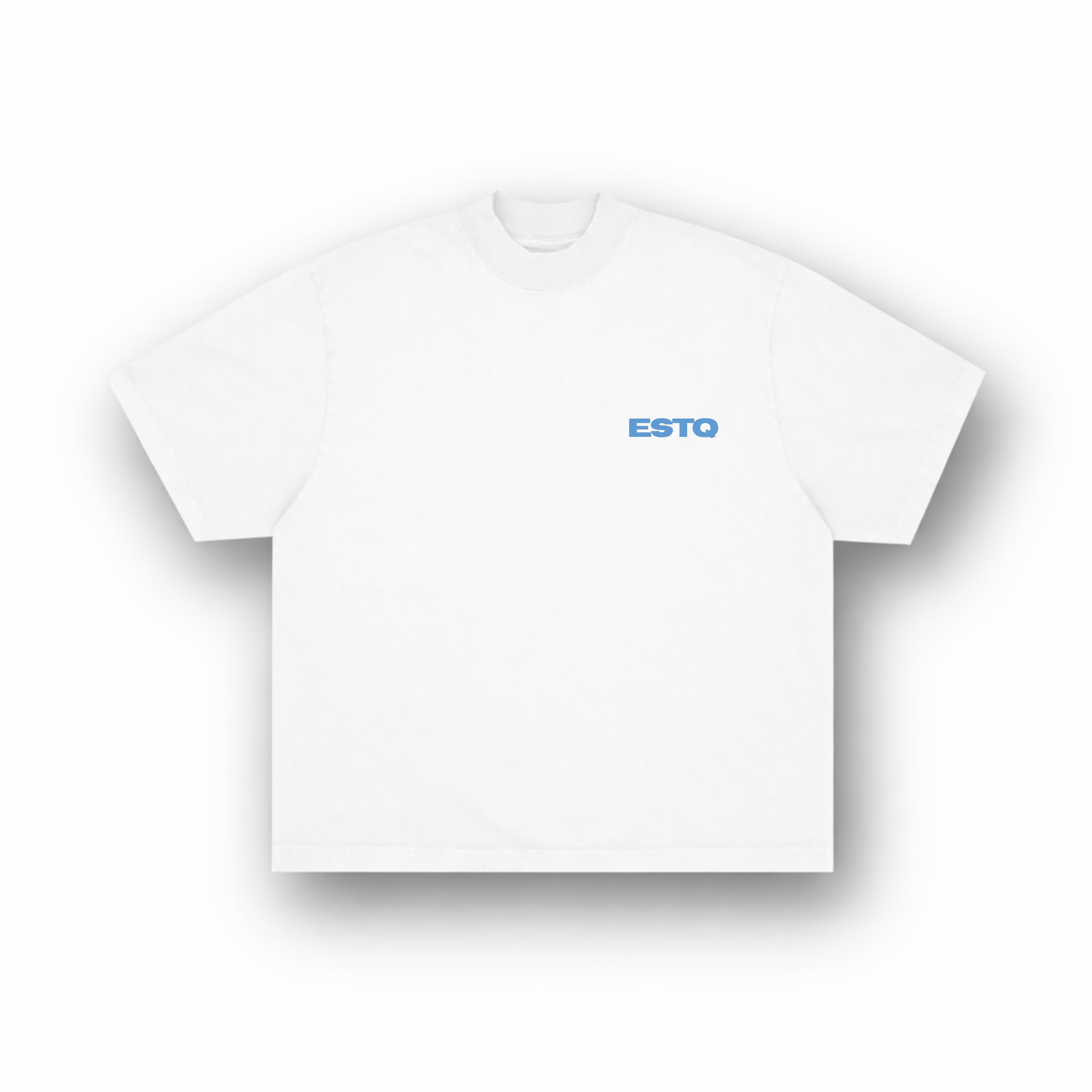202002 WIT/BLAUW T-SHIRT