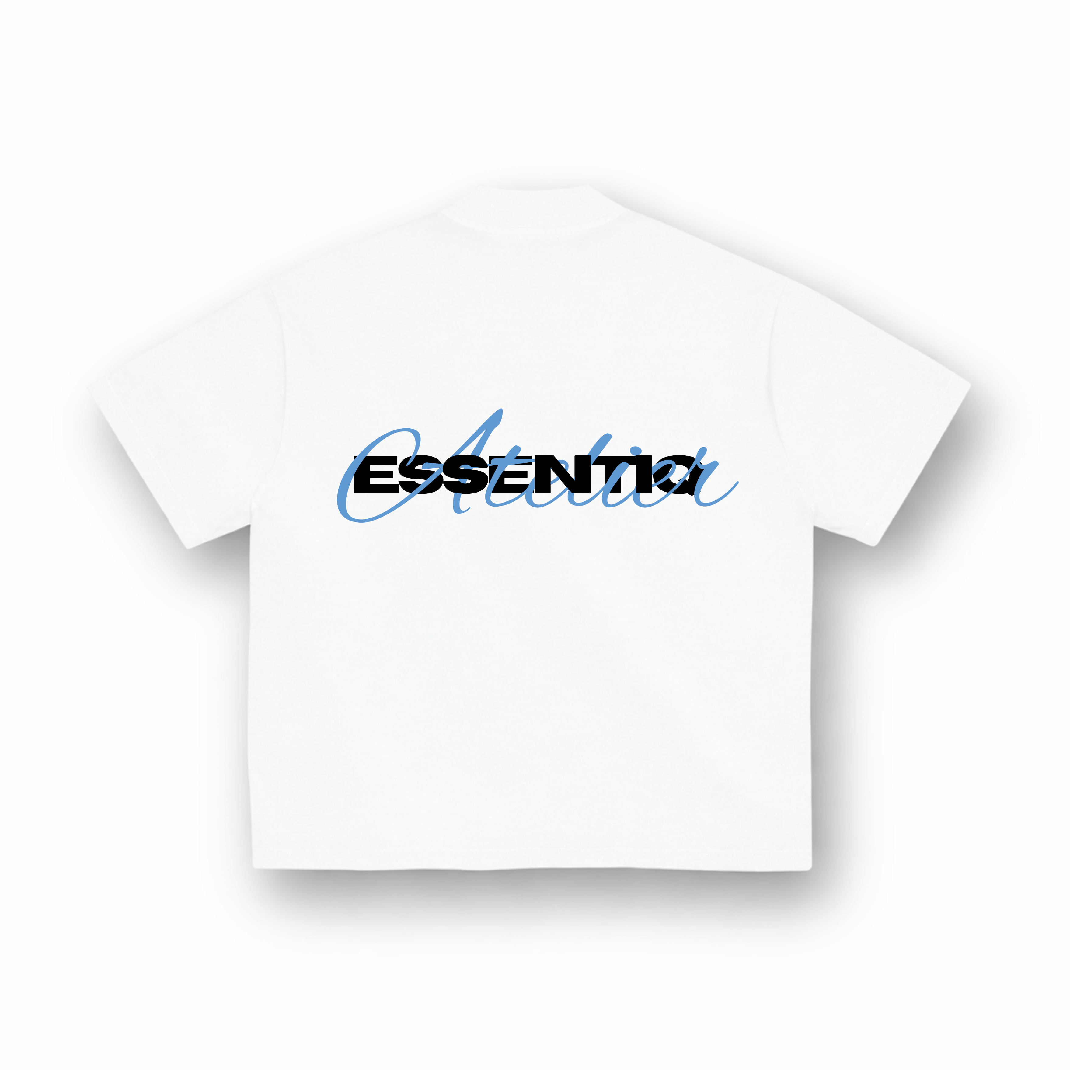 202002 WIT/BLAUW T-SHIRT